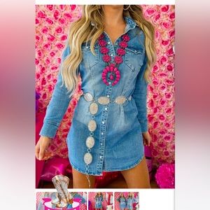 Denim button down dress nwt